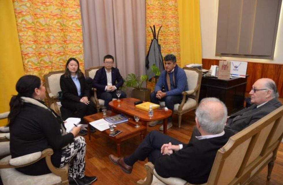 Potrero del Clavillo: avanzan con el proyecto para obtener financiamiento de China