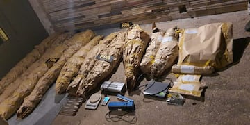 Tenía un "vivero" de marihuana en su casa de barrio Los Naranjos (MPF)