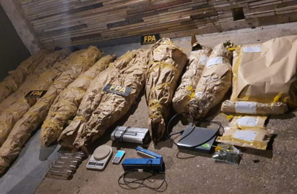 Perseguían a ladrones por los techos y descubrieron una plantación de marihuana