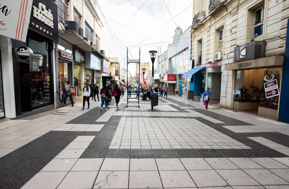 Así colocan las nuevas palmeras en la peatonal de Paraná
