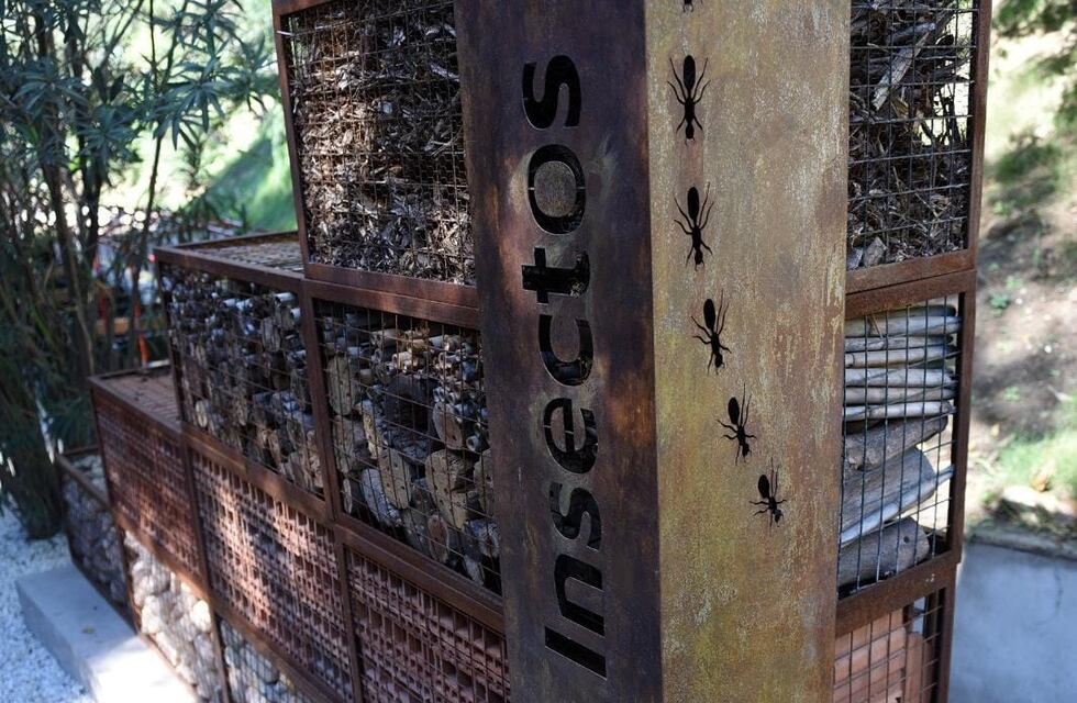 Abrió el primer “hotel para insectos” en el Parque de la Biodiversidad: para qué sirve