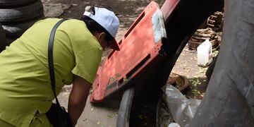 Para prevenir el dengue se debe eliminar recipientes y elementos que puedan acumular agua de lluvia donde el mosquito transmisor de la enfermedad puede poner sus huevos.