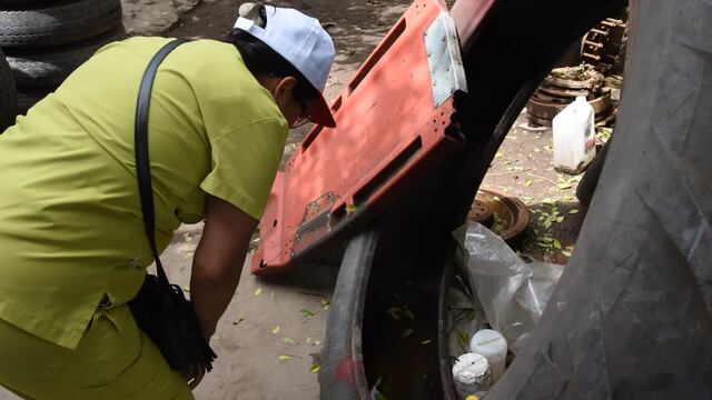 Para prevenir el dengue se debe eliminar recipientes y elementos que puedan acumular agua de lluvia donde el mosquito transmisor de la enfermedad puede poner sus huevos.