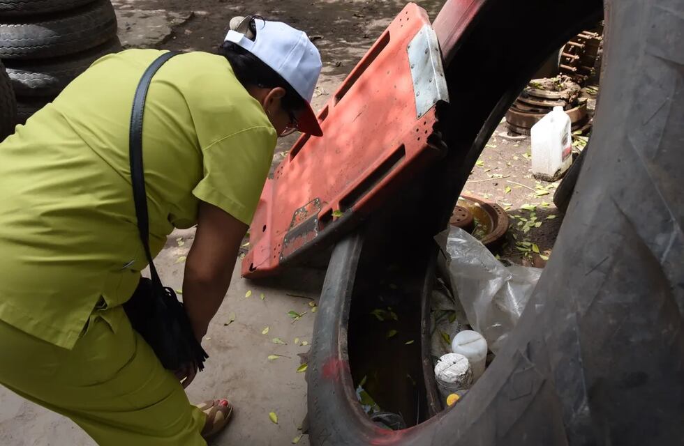 Alerta dengue: siete nuevos contagios detectados en Jujuy en una semana