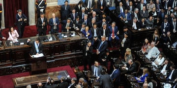 El presidente Javier Milei durante la apertura de sesiones del Congreso (Foto: Federico López Claro)