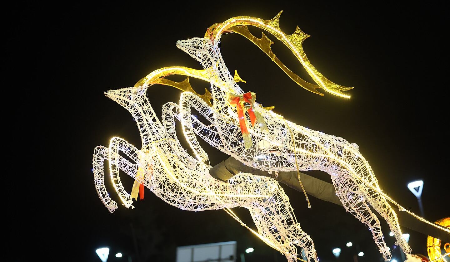 Estilizados renos hacen volar el trineo de Papá Noel, en la versión de los carroceros del Colegio Mayor Jujuy.