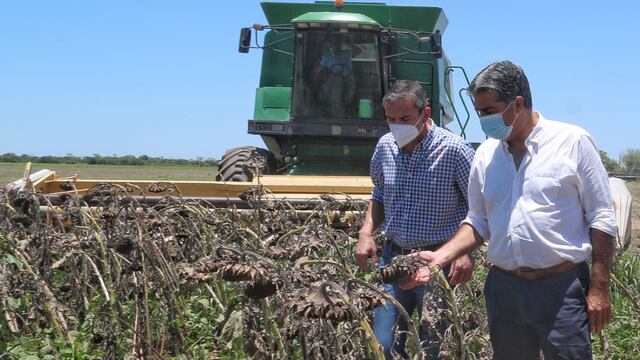 “Es muy importante corroborar la cosecha de girasol y la aplicación del seguro multirriesgo”, dijo Capitanich.