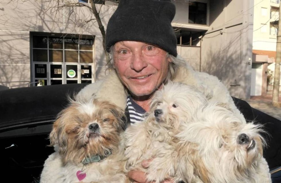 Una aventura extraordinaria: viajó desde Estados Unidos en auto junto a sus tres perros