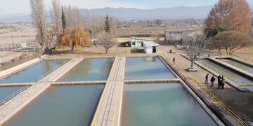 Maipú: merma en Planta Potabilizadora Palma.