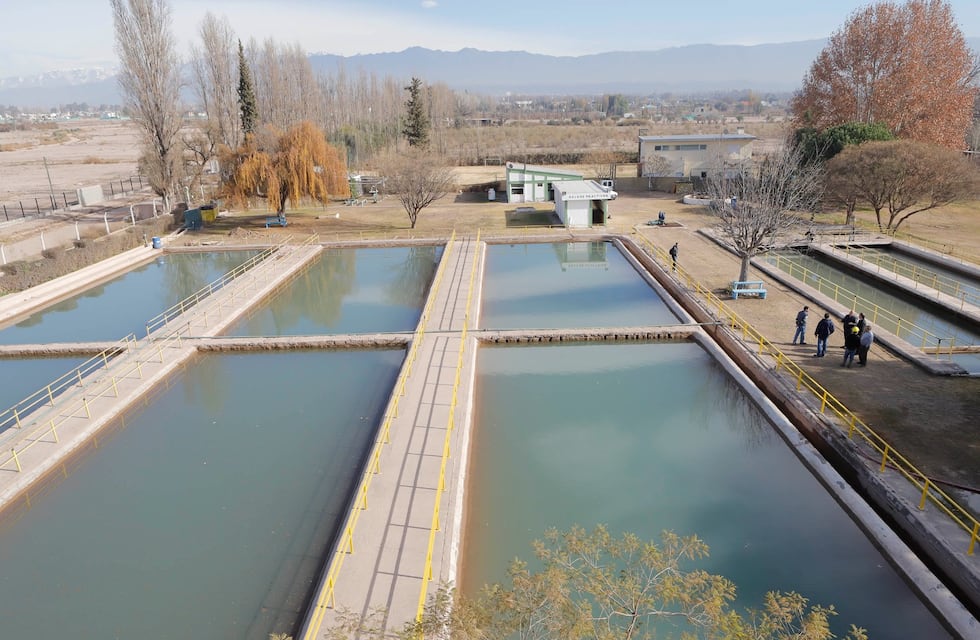 Maipú: merma en Planta Potabilizadora Palma