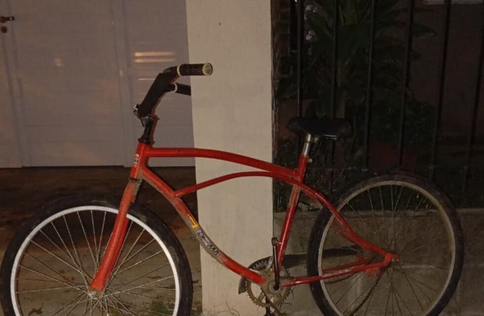 Una pareja llevaba una bicicleta que no era suya