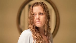 La serie sugerida está basada en una novela de la autora estadounidense Gillian Flynn.