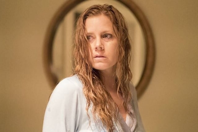 La serie sugerida está basada en una novela de la autora estadounidense Gillian Flynn.