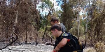 Extinguieron un incendio forestal en Comandante Andresito mediante un avión hidrante.