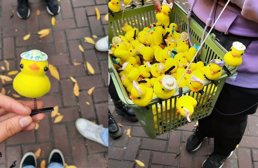 Furor por los patitos del Barrio Chino: la nueva moda a la que todos se suman y nadie sabe qué significa