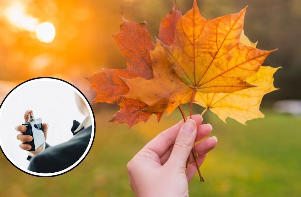 Irresistibles y exclusivos: 3 perfumes masculinos para comenzar bien el otoño