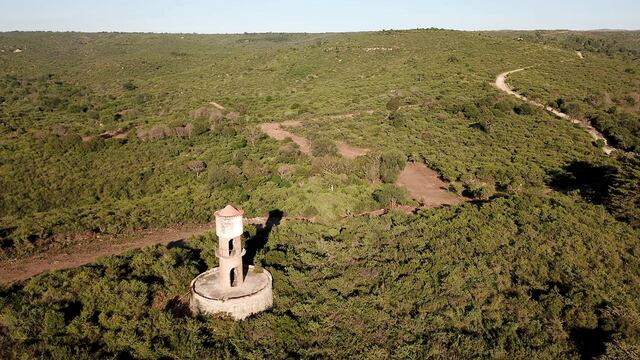 Parque Puma, La Falda. Vecinos alertaron sobre la vulneración de la Ley Nacional General del Ambiente y la Ley de Ordenamiento territorial de bosques nativos de Córdoba. (La Voz)