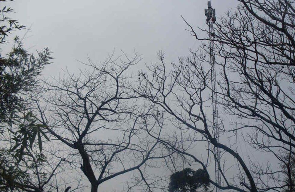 Encontraron a un hombre sin vida a metros de una antena en el interior de Córdoba