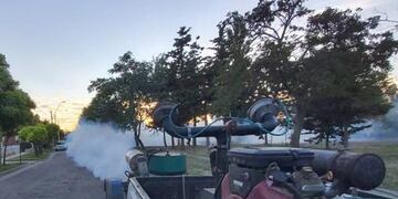 Cronograma de Fumigación