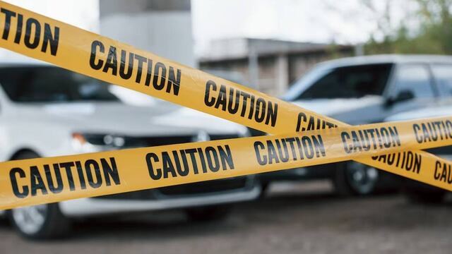 No vas a creer el peligroso animal que encontraron en una casa en La Plata.