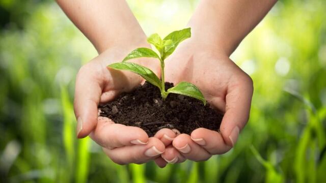 Río Grande: el municipio conmemorará el “Día de la Tierra”