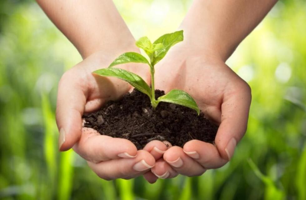 Río Grande: el municipio conmemorará el “Día de la Tierra”