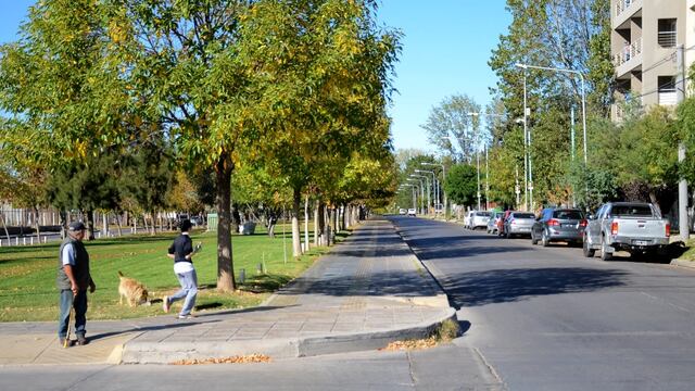 Filmaron a un extraño animal correr por las calles de Neuquén.