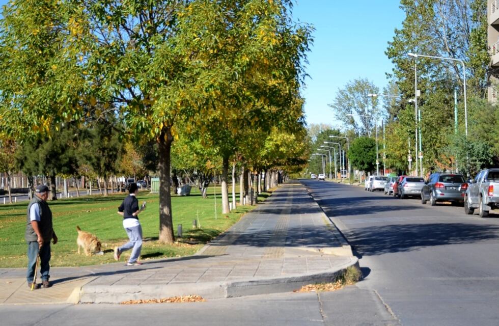 Filmaron a un extraño animal correr por las calles de Neuquén y el video rápidamente se viralizó