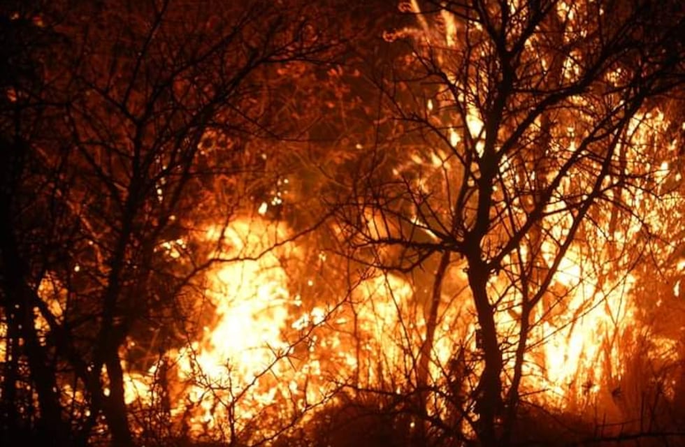 Un frente de fuego atemorizó a los vecinos de Punilla Norte, los bomberos trabajaron toda la noche