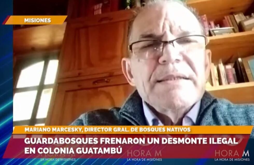 Montecarlo: desmonte ilegal podría acarrear multas de hasta $30 millones