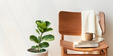¿Menos es más? La historia del minimalismo, una corriente que se convirtió en estilo de vida.
