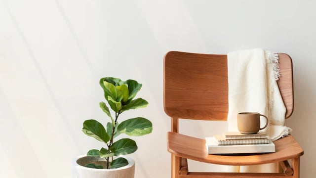 ¿Menos es más? La historia del minimalismo, una corriente que se convirtió en estilo de vida.