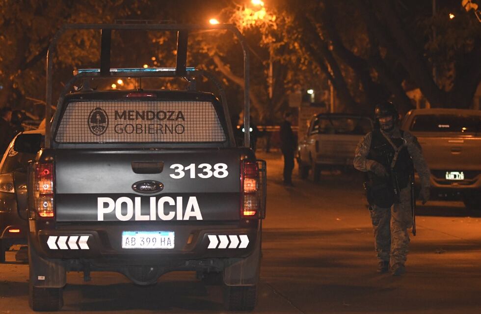 Video: la policía usó una pistola Taser para evitar que un hombre de San Martín se suicidara
