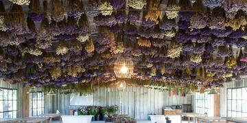 Cómo es merendar en medio de un campo de flores.