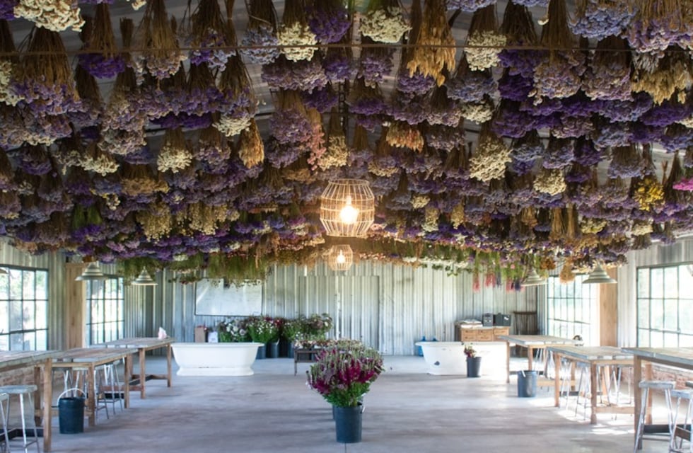 Tomar el té en medio de un campo de flores: cómo es la mágica propuesta en Córdoba