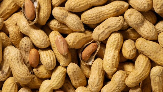 Científicos de Córdoba descubrieron que un extracto de piel de maní inhibe el virus del dengue.