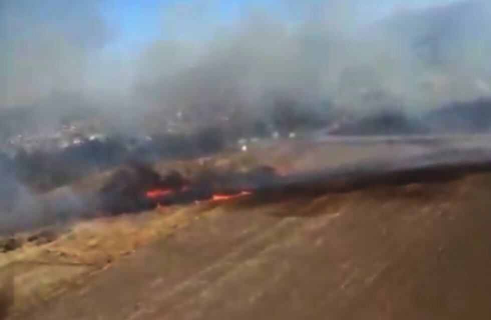 Alta Gracia: los bomberos combaten un foco de incendio forestal