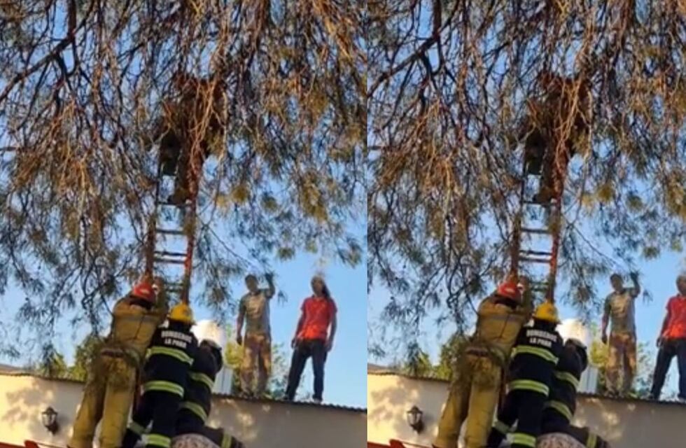 Habló la madre de la niña que voló y quedó colgando de un árbol tras la explosión fatal en La Para