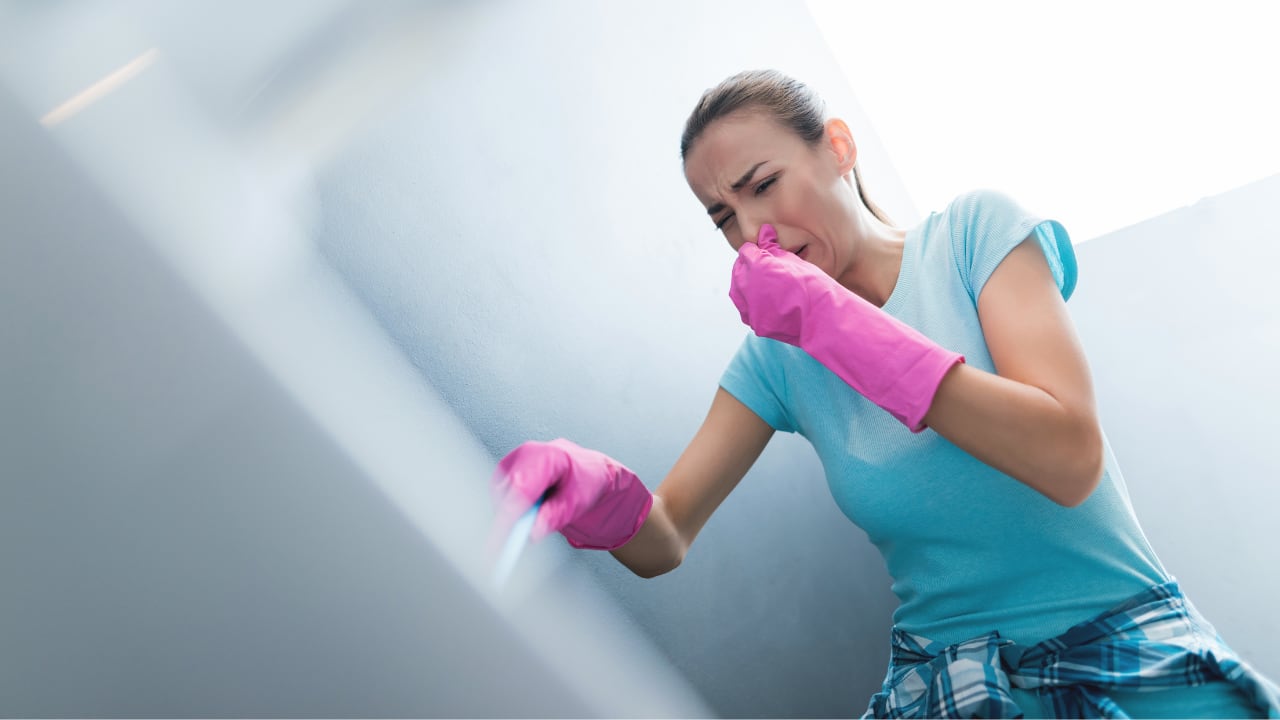 El vinagre neutraliza olores con efectividad, absorbiendo moléculas en vez de enmascararlas con fragancias artificiales.