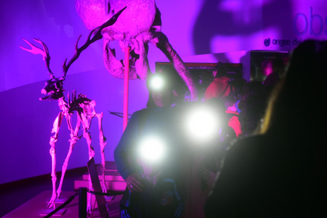 La ciudad de Córdoba celebró una nueva edición de La Noche de los Museos. Los principales espacios culturales abrieron sus puertas de manera gratuita con actividades que convocaron a miles de visitantes.  (Nicolás Bravo / La Voz)