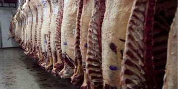 El Gobierno dispuso la flexibilización de las exportaciones de carne vacuna. (Archivo/La Voz).