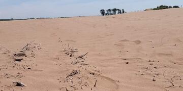 Los campos erosionados por el mal manejo del suelo, en el Departamento General Roca.