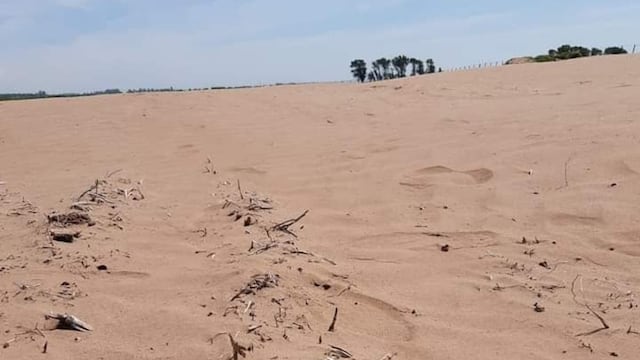 Los campos erosionados por el mal manejo del suelo, en el Departamento General Roca.