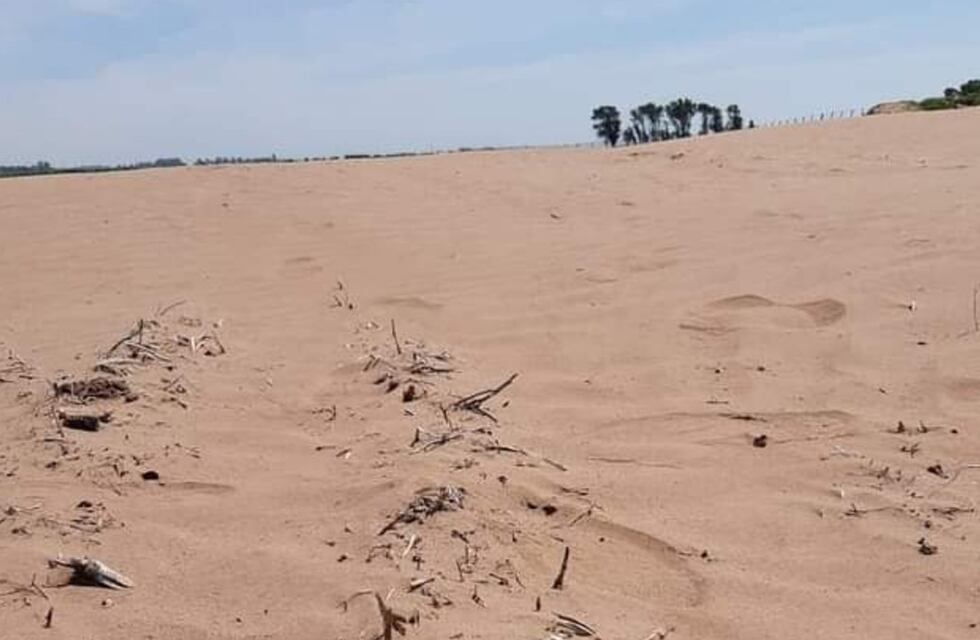 Sur de Córdoba: lo intiman por un campo erosionado