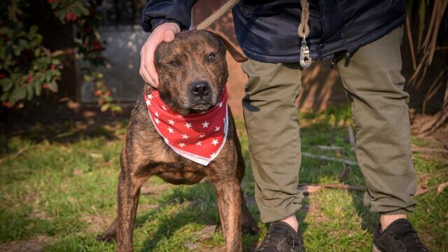 A partir del próximo lunes, el quirófano móvil se traslada a Villa Evita.