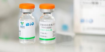 Llegó un pequeño lote de vacunas Sinopharm a Córdoba. (AP)