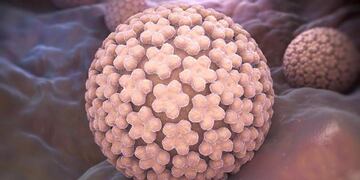 Vacunación contra el Virus del Papiloma Humano