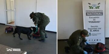 Posadas: incautaron marihuana en la mochila de un pasajero en la entrada de Misiones.