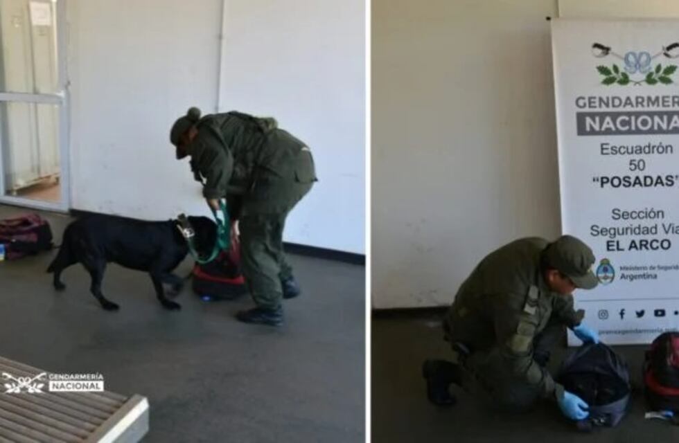 Posadas: incautaron marihuana en la mochila de un pasajero en la entrada de Misiones