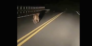 El puma fue captado por uno de los automovilistas que circulaba en la zona del Dique San Roque.